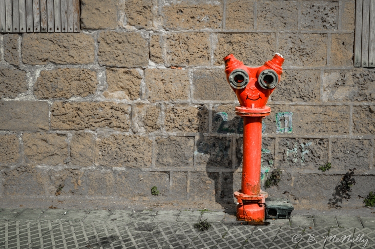 Friendly fire hydrant